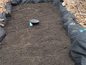 Rain Garden Construction 4